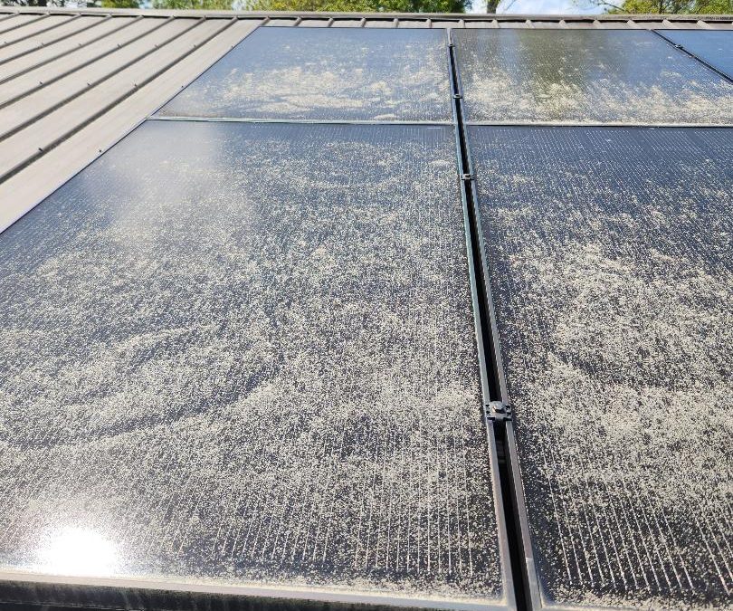 Maximizing Solar Panel Efficiency: The Ultimate Guide to Cleaning